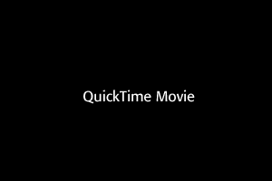 QuickTimePlaceholder